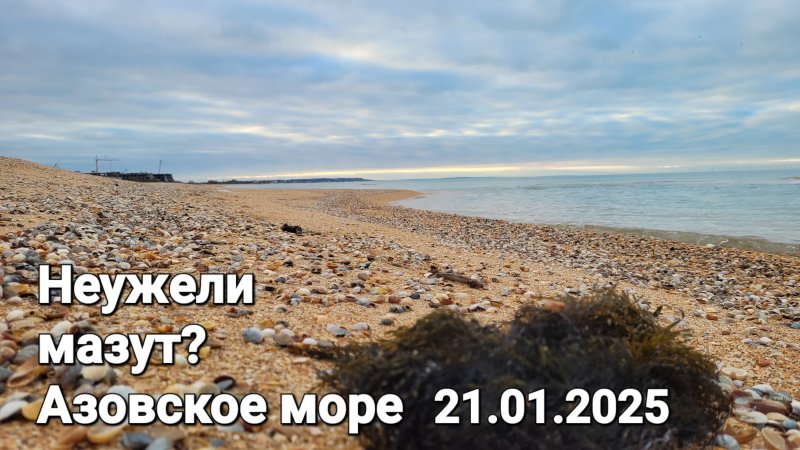 Шок!  Голубицкая. Мазут на Азовском море? 21.01.2025  #темрюк #голубицкая  #азовскоеморе