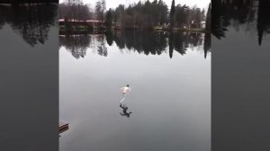 Бежит по воде.mp4