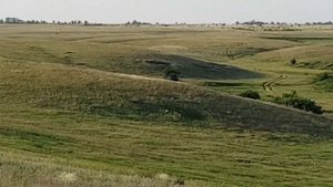 Стрельба на 1250 метров, винтовка РЕКОРД (СВ-98) , калибр 338LM