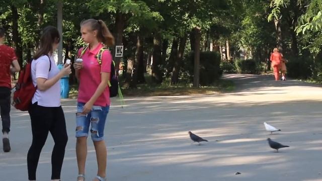 Это социальный эксперимент пранк/ Пранк / Социальный эксперимент/ Розыгрыш смотреть онлайн