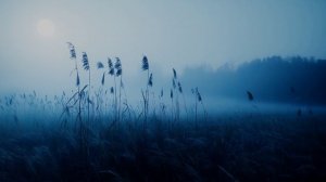 Татьяна Мысенкова - ТОЛЬКО РЯДОМ С ТОБОЙ.