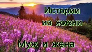 Истории из жизни. Муж, идя на вечеринку смеясь сказал, твои годы ушли, эти наряды не для тебя!