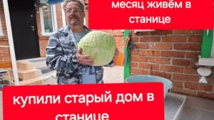 90//Купили старый дом в станице. Прожили месяц.Что сделали. Всё за боронили.Юра солит капусту.