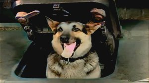 начало фильма 4 танкиста и собака