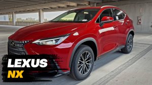 Lexus NX 2025 года