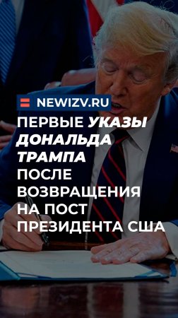 Первые указы Дональда Трампа после возвращения на пост президента США