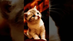 ❤песня {на часах нули }❤