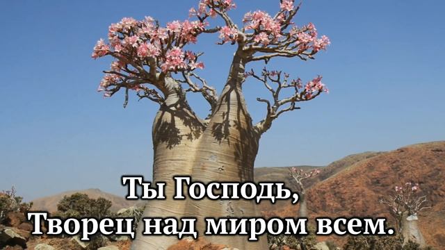 Прекрасен этот мир | Караоке плюс | Христианские песни | Гимны надежды
