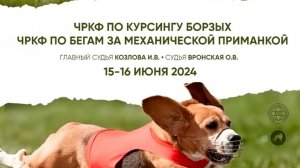 ЧРКФ 16 июня 2024г. Курсинг в Донино. Автор видео В.Григорьева.