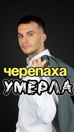 Черепаха умерла