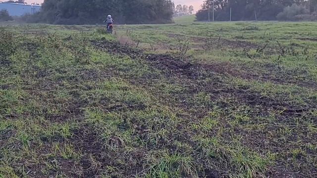 honda cr 85cc смотреть онлайн