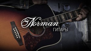 Гитары Norman