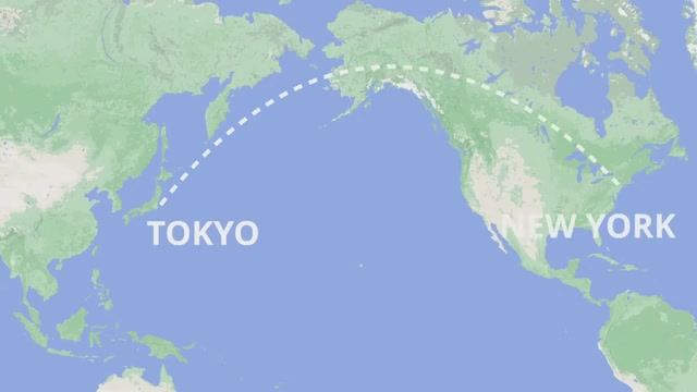 $8,000 Бизнес-класс на ANA Japan  Токио - Нью-Йорк