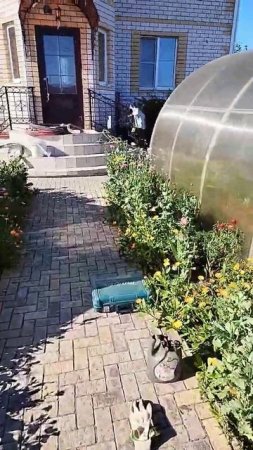 Чистка скважин компрессором, продувка, аэрлифт #мастернастодел Павел