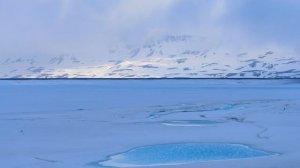 6255492-uhd_4096_2160_24fps