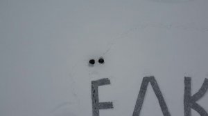 Почему Ёлки? Ёлки на озере