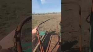 уборка подсолнечника 2024