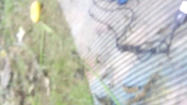 Олексий Меткий смотреть онлайн