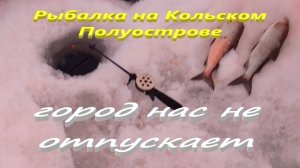Рыбалка на Кольском Полуострове. Рыбалка в Мончегорске. Рыбалка на озере Имандра.