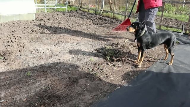 Как выбрать садовый инструмент? БОЛЬШОЙ обзор и советы бывалого огородника смотреть онлайн