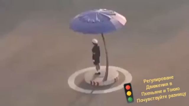 Регулирование дорожного движения в Пхеньяне и Токио. Почувствуйте разницу! смотреть онлайн