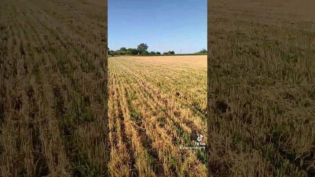 Вимірювання площі поля .Garmin Etrex 10 смотреть онлайн