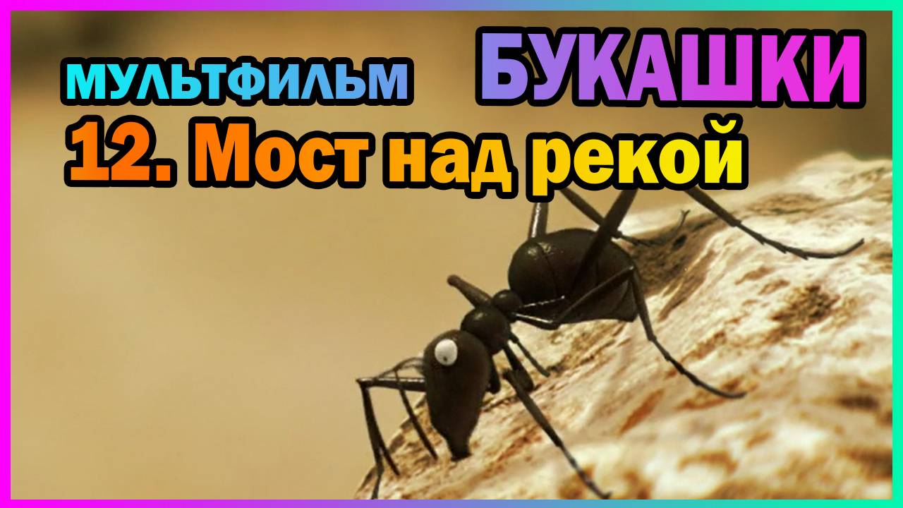 | Мультфильм | БУКАШКИ | 12. Мост над рекой |