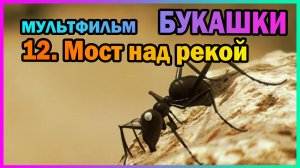 | Мультфильм | БУКАШКИ | 12. Мост над рекой |