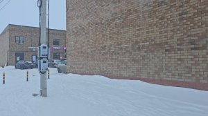 куюки 19квартал обзор