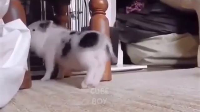 BEST CUBE #125 смотреть онлайн