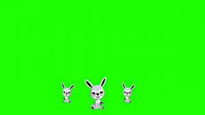 Хромакей Зайцы!!! Привет от зайчат! Помашем лапкой от Киностудии Мудрого Кота Тимофея!!!