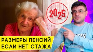 Размеры Социальной пенсии в 2025 году по старости и инвалидности после индексации