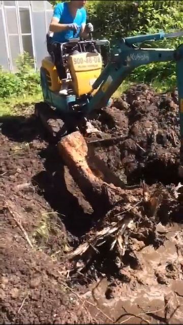 Корчевка пня однотонным миниэкскаватором Kubota