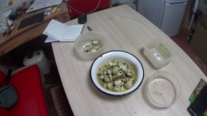 Что то пошло не так, вопросс в том, что