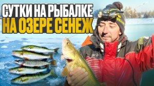 СУДАК и ЩУКА на жерлицы. Сутки на озере Сенеж