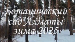 Ботанический сад Алматы. январь 2025