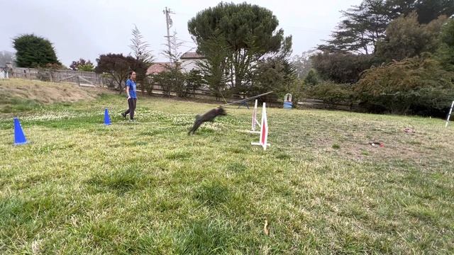 Lesson 4 Parabola test 7.24.22 смотреть онлайн