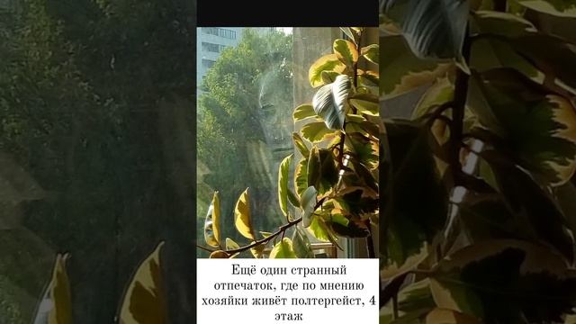 Мистические отпечатки на стекле