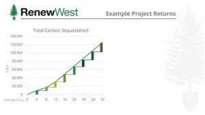 November 2020 FCWG Learning Exchange Series: American Carbon Reforestation