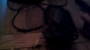 Динамик vs 50 герц