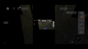 Как открыть секретную комнату в Brookhaven RP