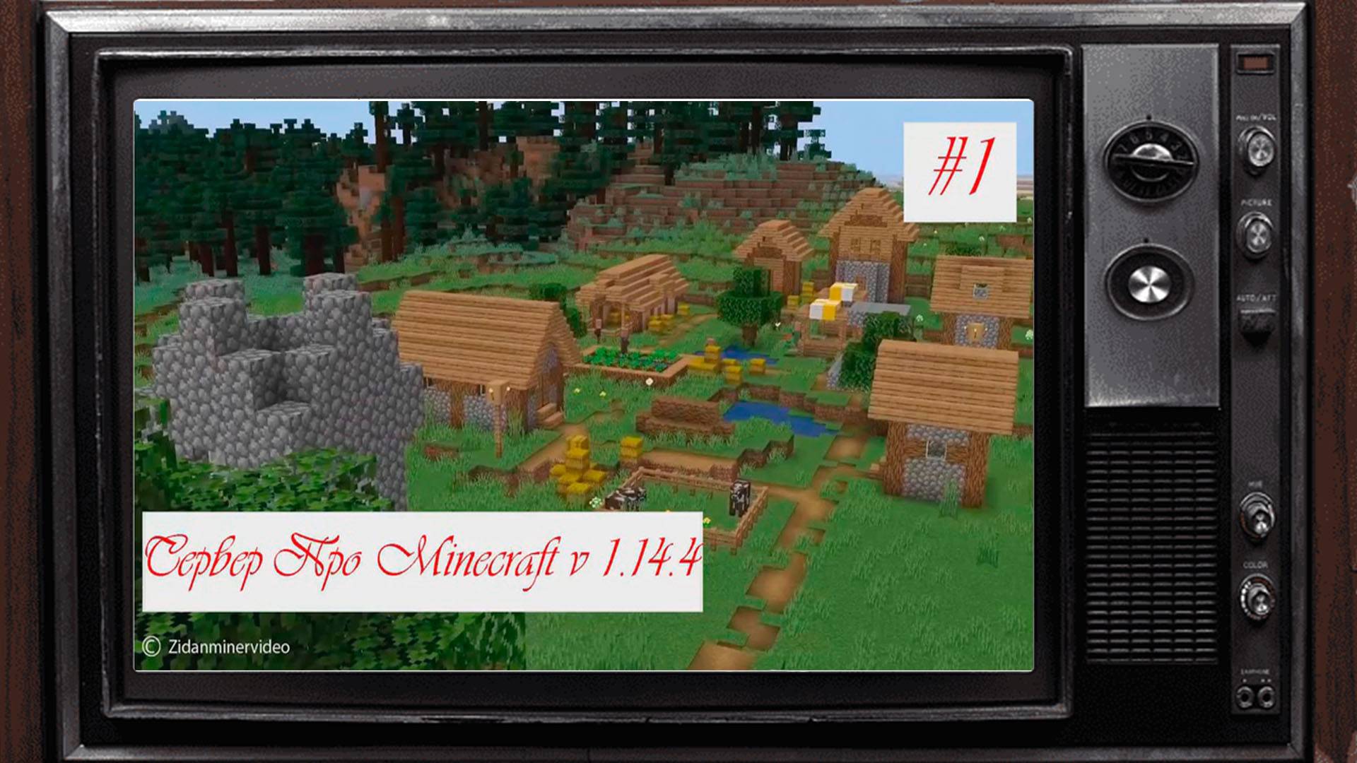 Стрим на лицензионном Про Minecraft server #1 майнкрафт v 1.14.4