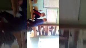 Приколы в школе