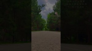 женщины в исламе,в аду будет много женщин..