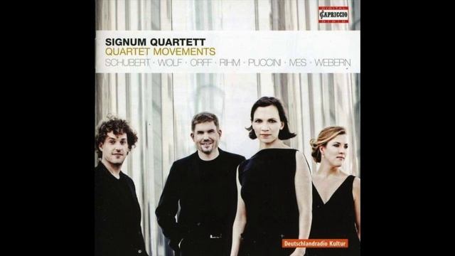Schubert: Quartettsatz in c minor, D. 703 (Signum Quartet) смотреть онлайн