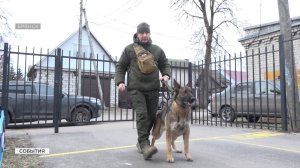 Московские ветврачи провели в Брянске семинар по тактической кинологии