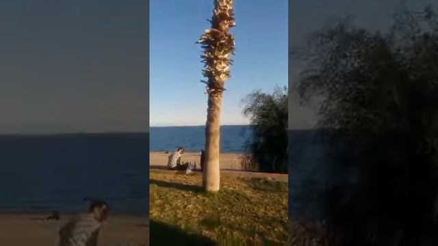 СОСТОЯНИЕ ГАРМОНИИ В СОЛНЕЧНОМ ПОТОКЕ СВЕТА И ЛЮБВИ смотреть онлайн