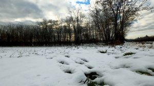 6371453-uhd_3840_2160_30fps