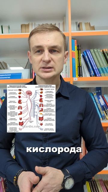 Какие признаки лжи мы можем увидеть? Как работает нервная система лжеца? Часть 2