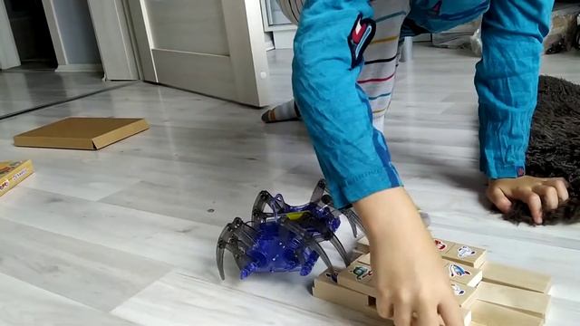 Паучок